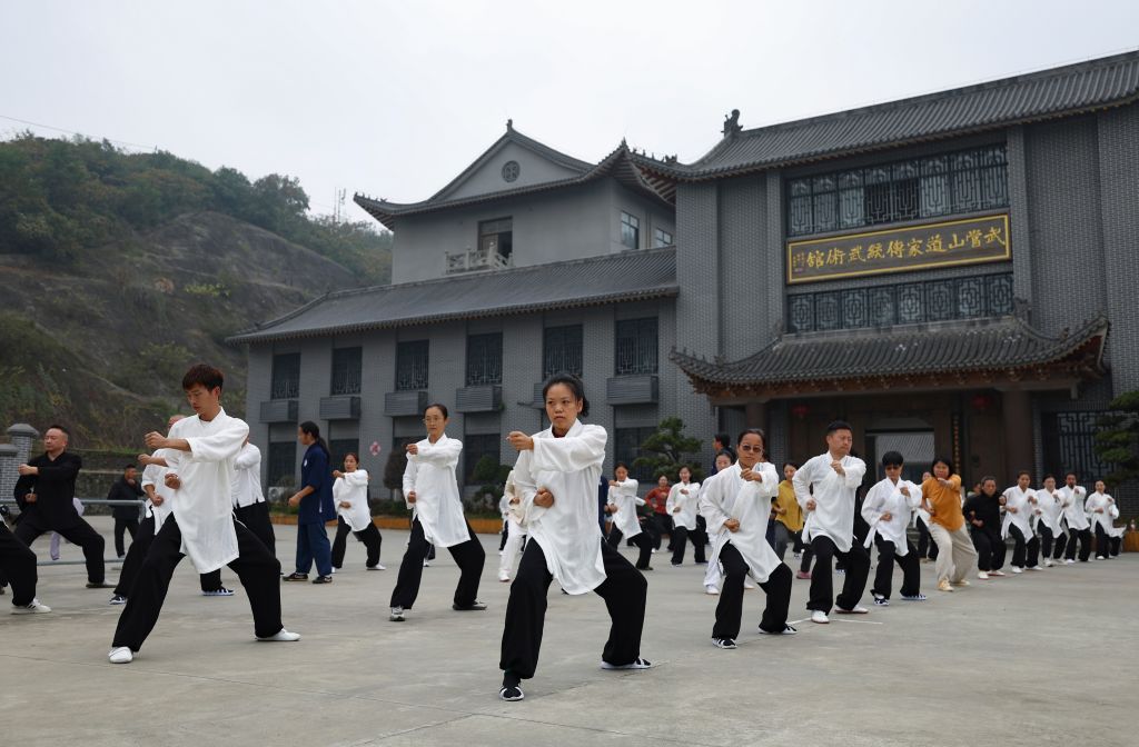 永利ylg介绍图片