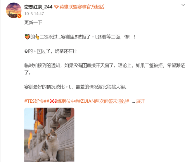 专业永利ylg服务